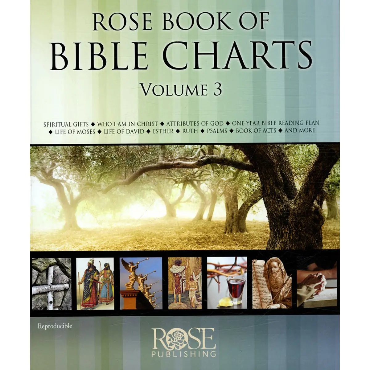 Rose Book Of Bible Charts Volume 3 (Hardcover) 1