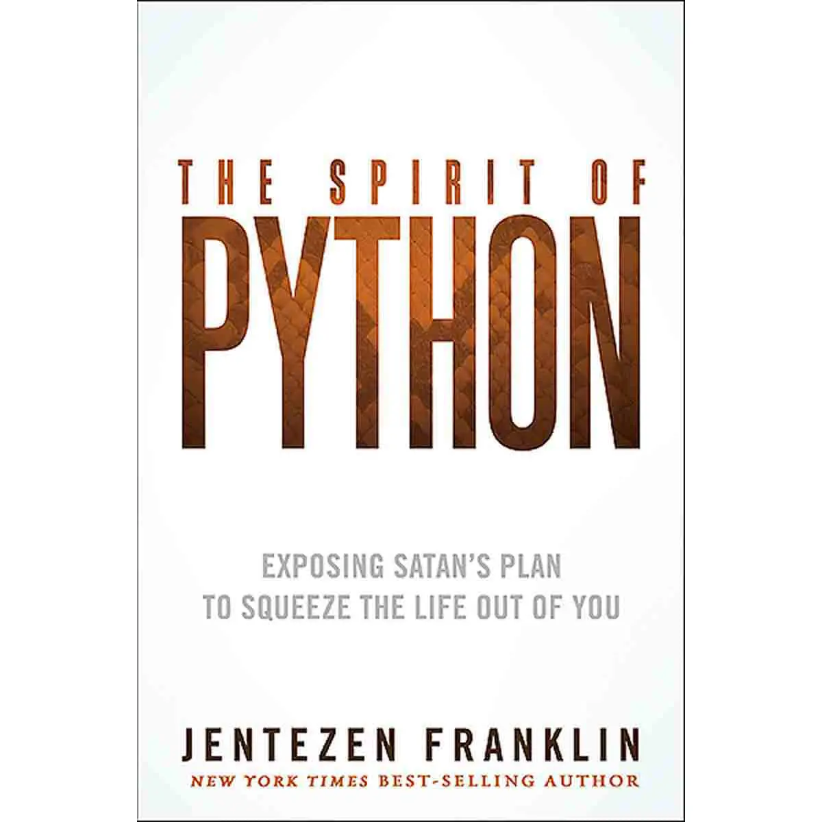 The Spirit Of Python (Paperback) 1