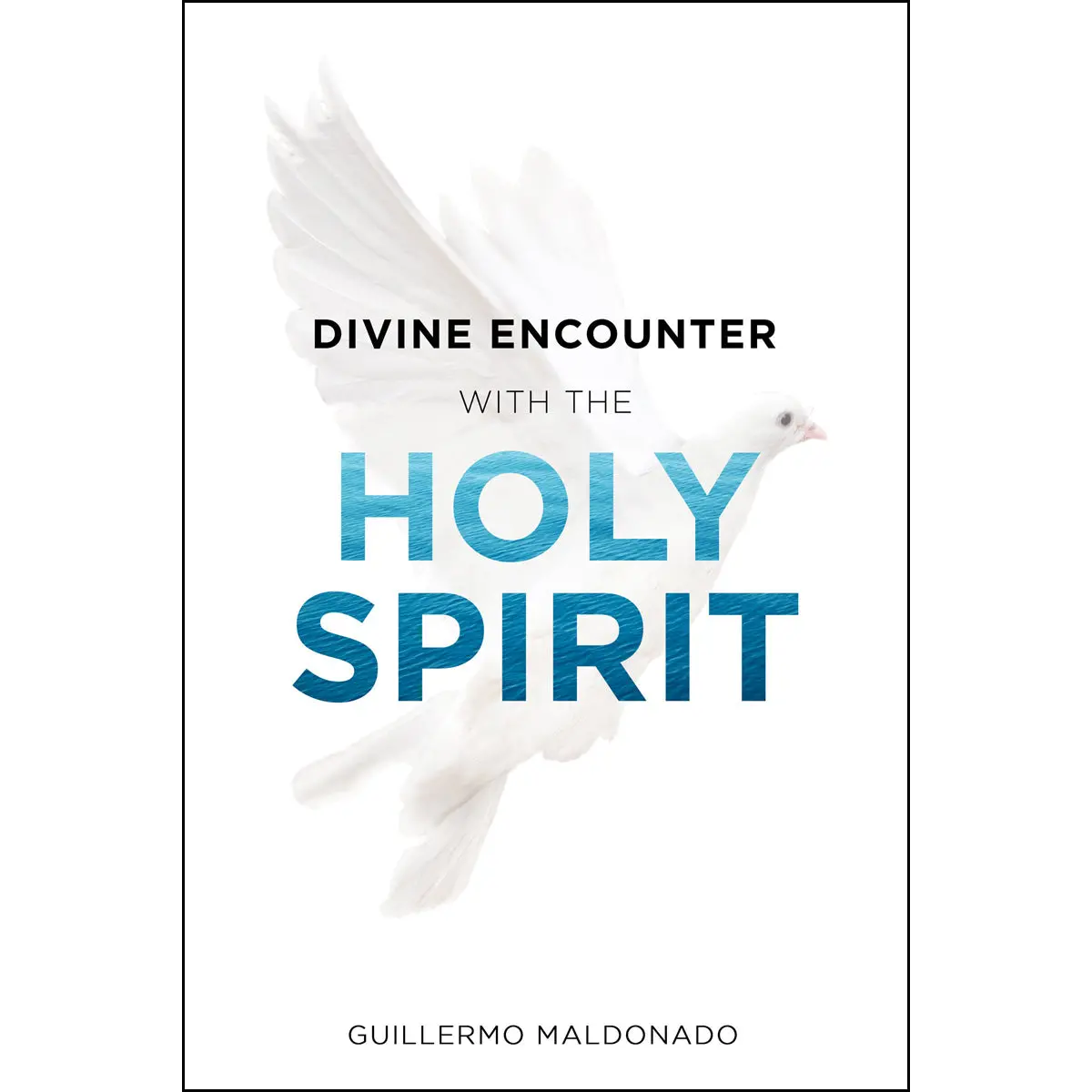 Divine Encounter With The Holy Spirit (Paperback) 1