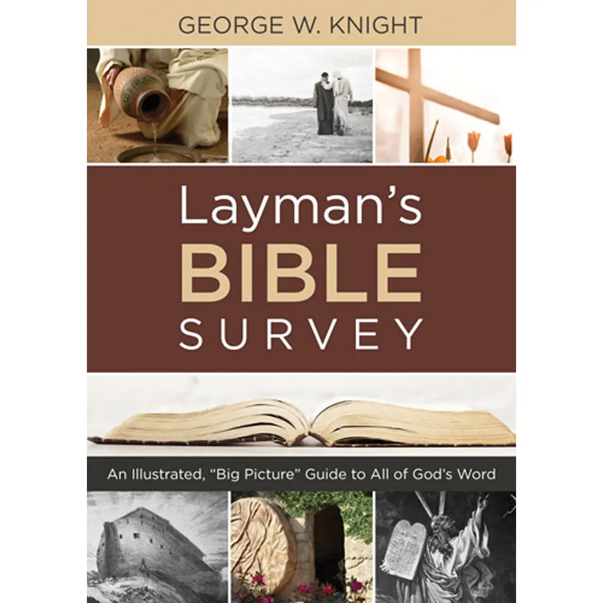 Laymans Bible Survey (Paperback) 1