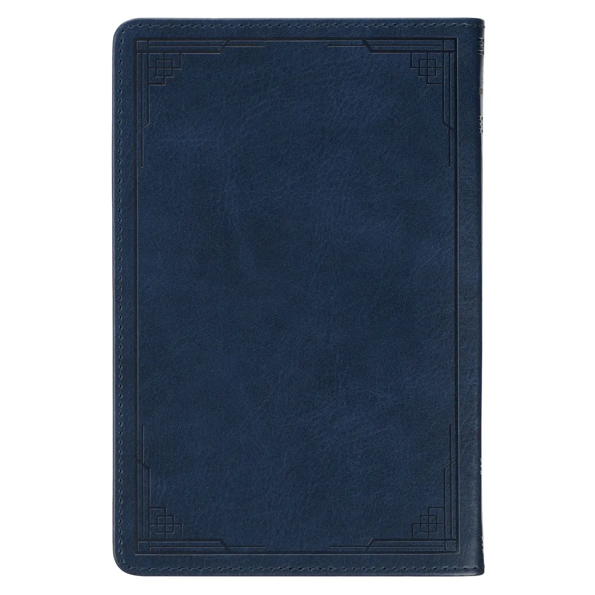 Finding Peace In The Psalms: 100 Devotions To Restore Your Soul (Faux Leather) 2