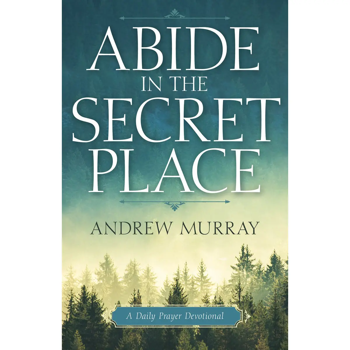 Abide In The Secret Place (Paperback) 1