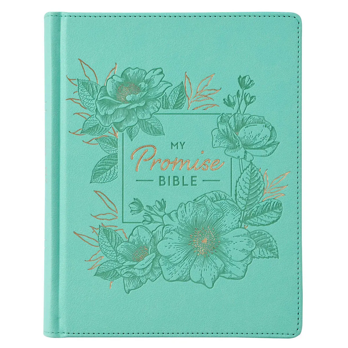 Kjv Turquoise Faux Leather Hardcover My Promise Bible 1