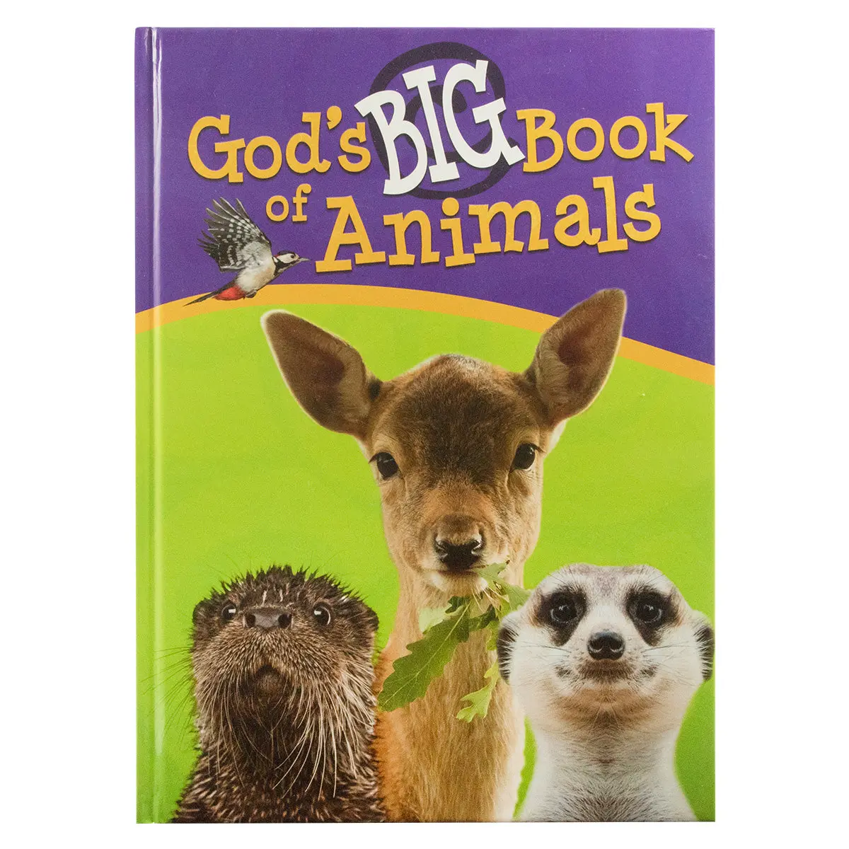 God's Big Book Of Animals (Hardcover) 1