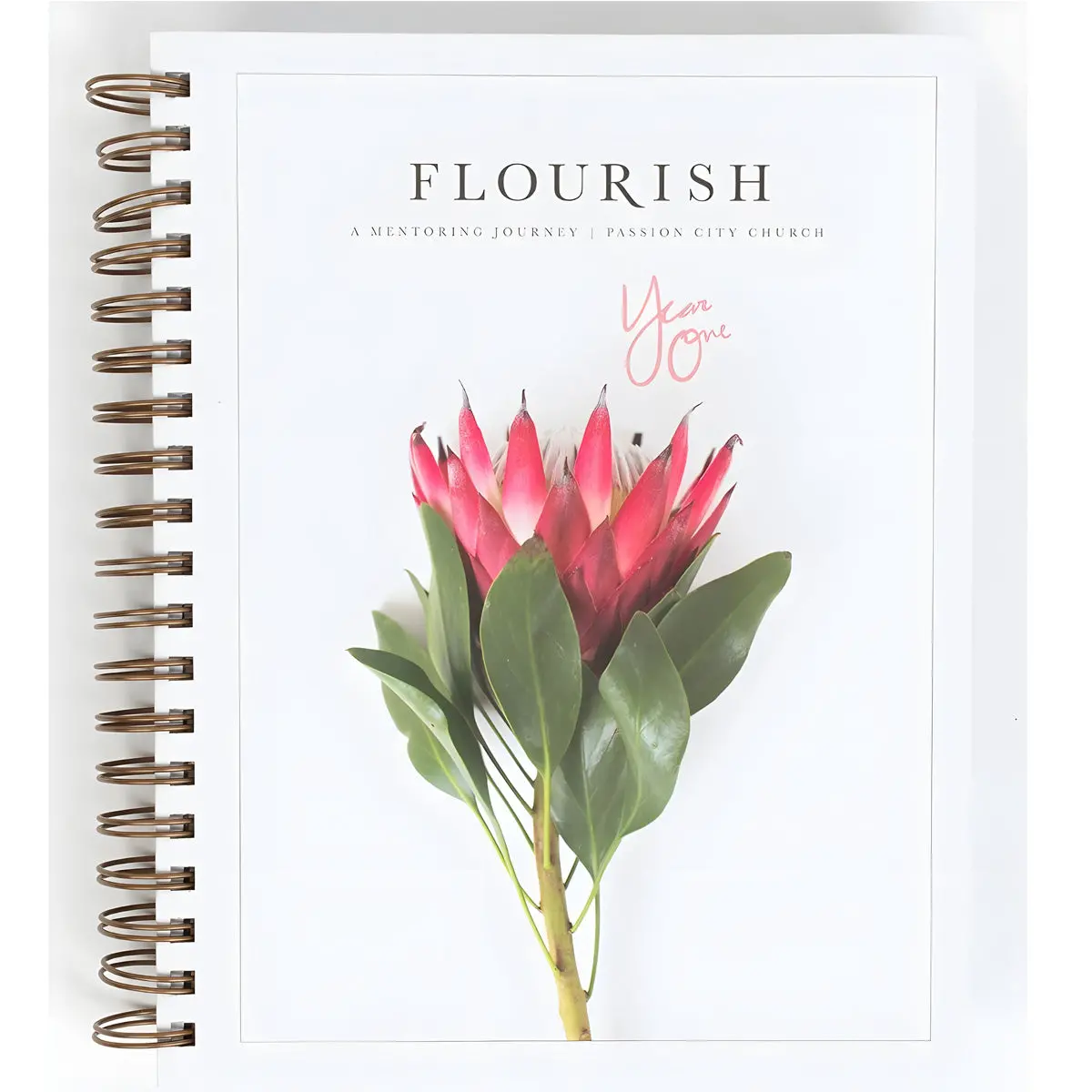 Flourish: A Mentoring Journey - Year One (Spiral-Bound) 1