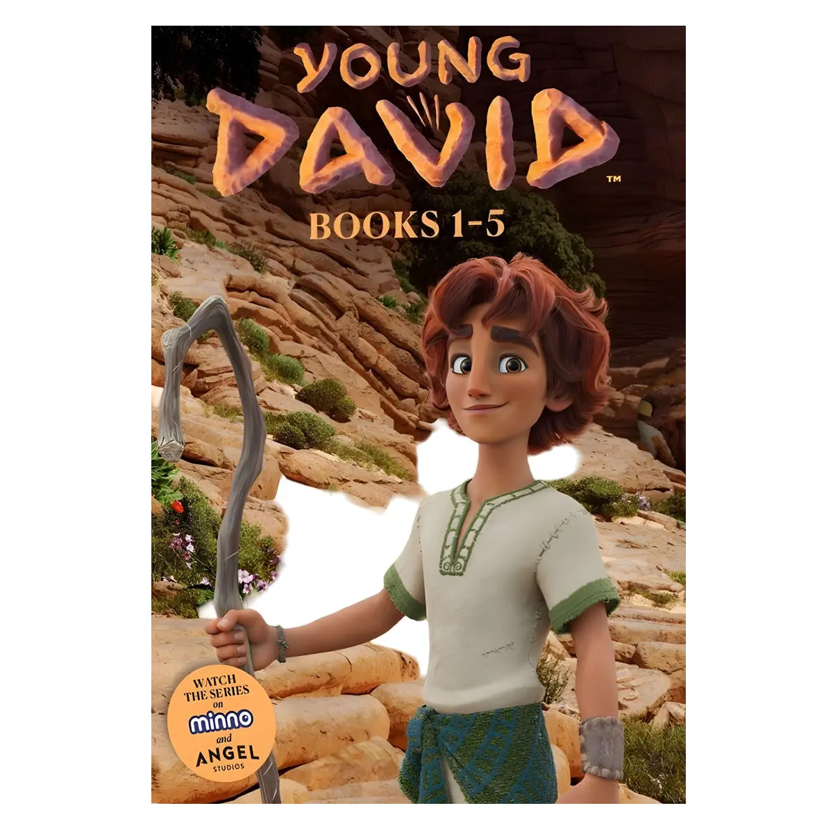 Young David Series 5 Volume Box Set (Paperback) 1