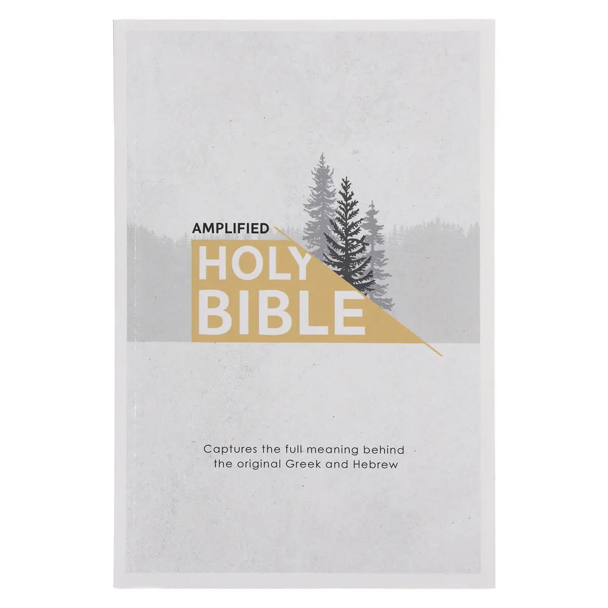 Amplified Grey Paperback Economy Edition Bible 1