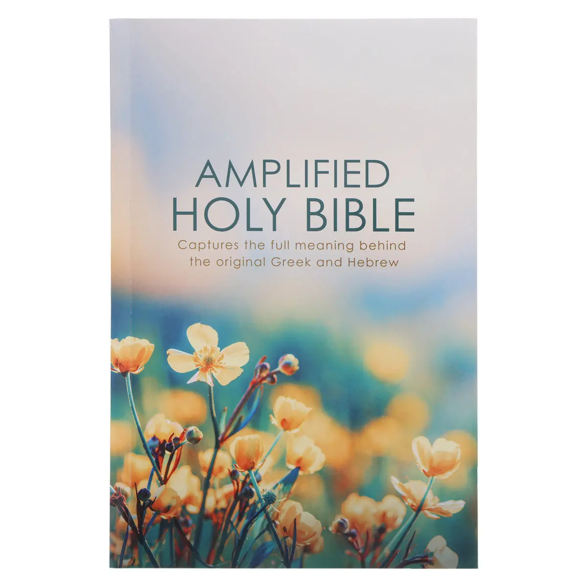 Amplified Wildflowers Paperback Economy Edition Bible 1