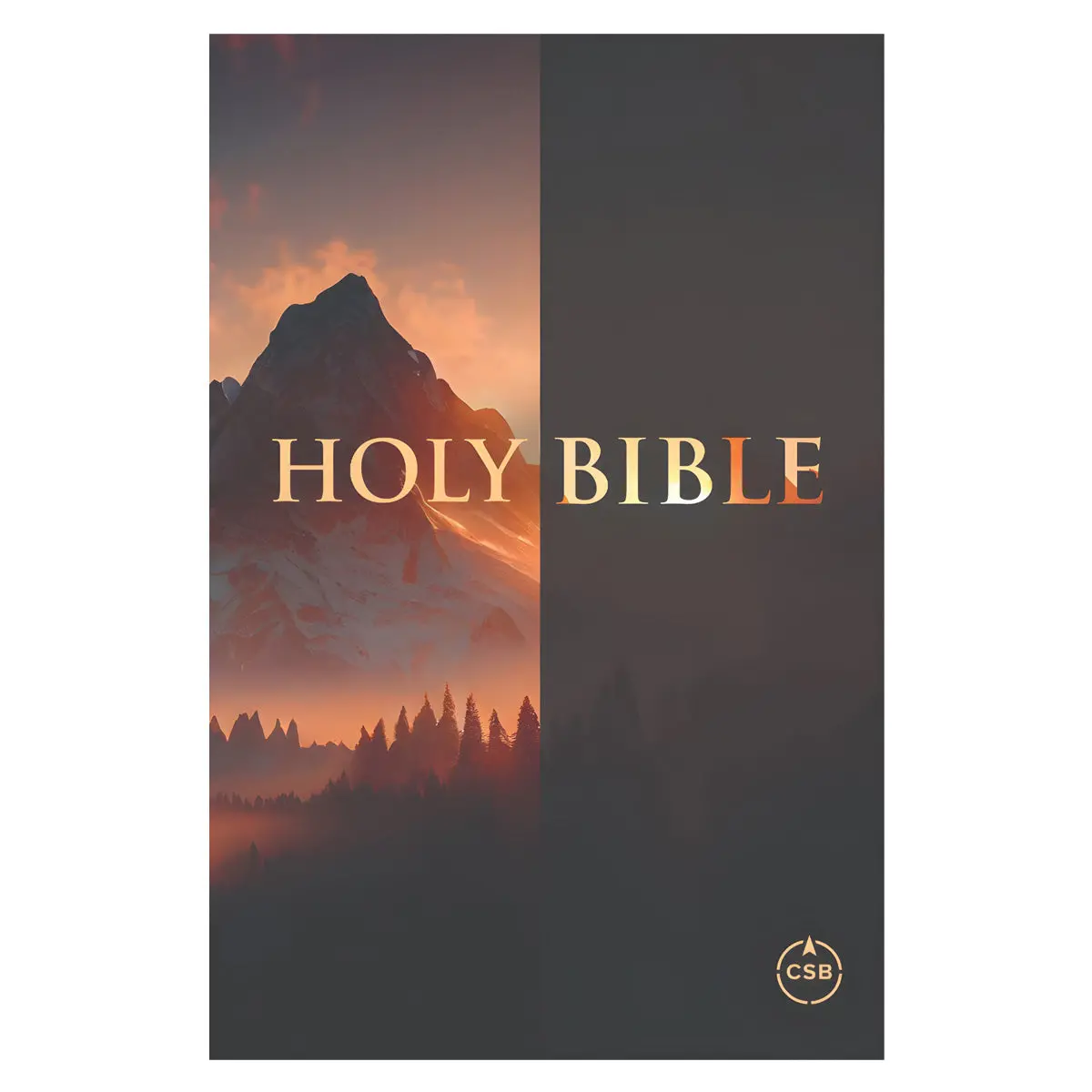 Csb Paperback Value Edition Compact Bible 1