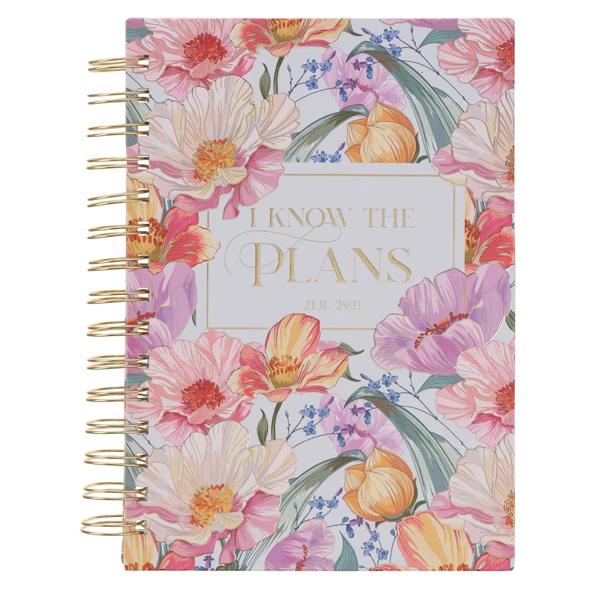 I Know The Plans Hardcover Wirebound Journal 1