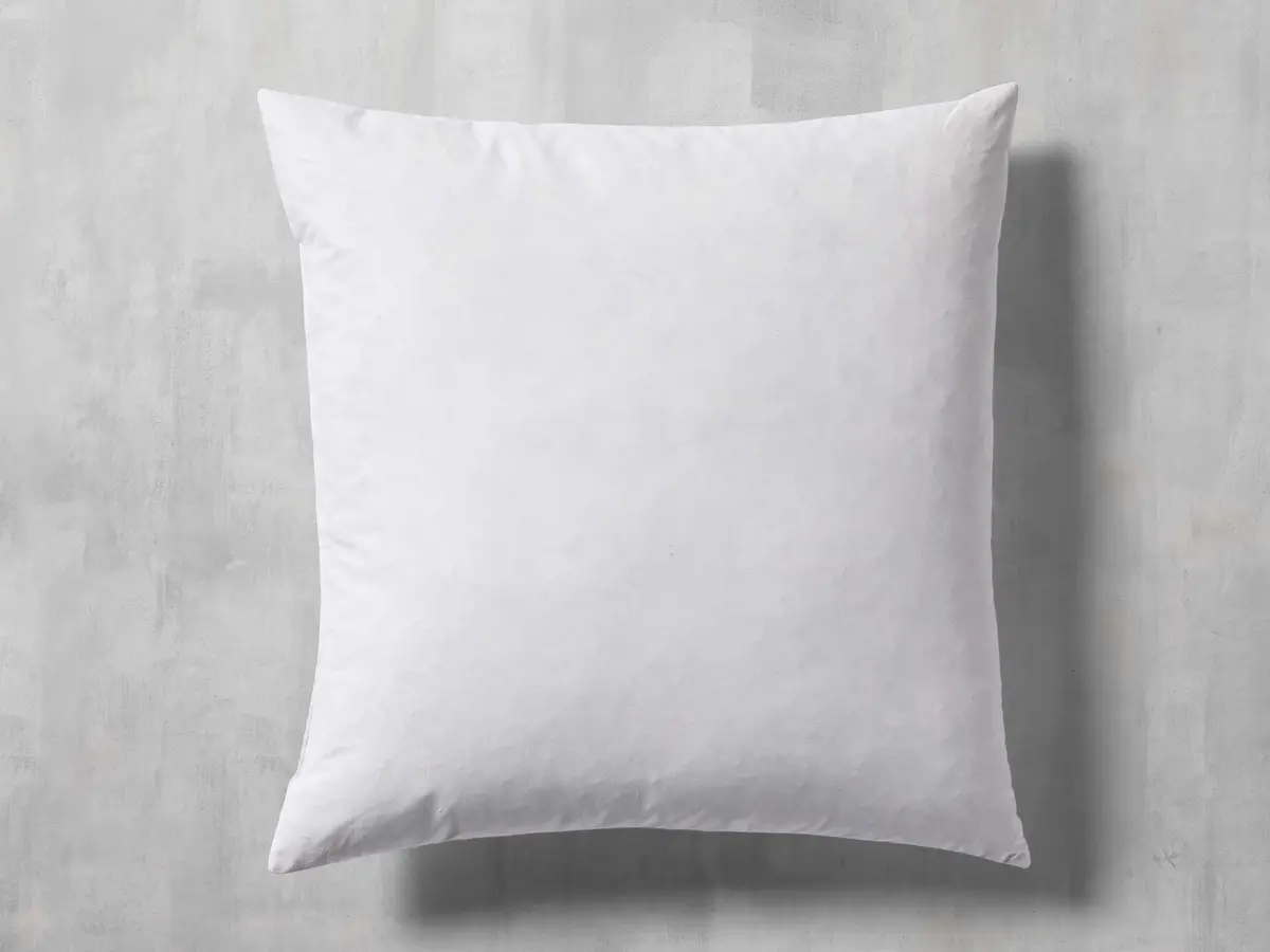 Decorative Pillow Insert 1