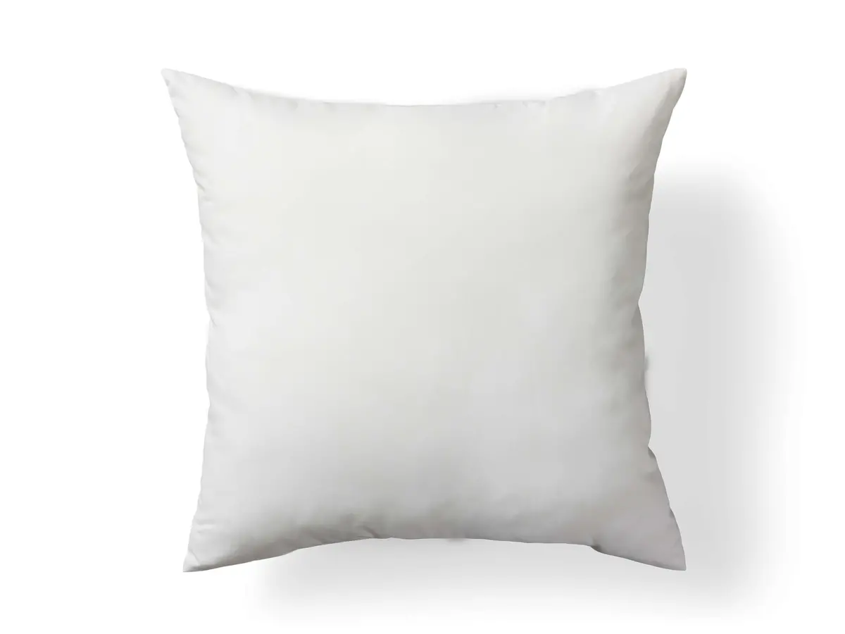 Decorative Floor Pillow Insert 1