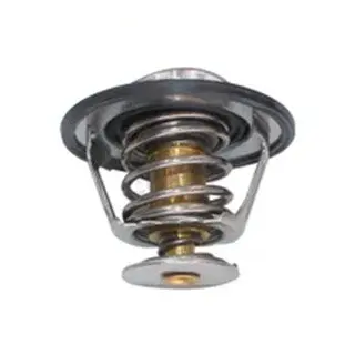 Cummins 5337967 Thermostat 1