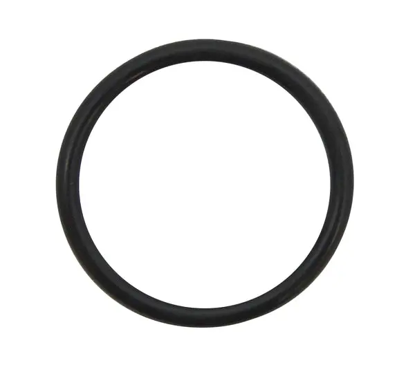 Aluminum Thermostat Housing Water Neck O-Ring 1