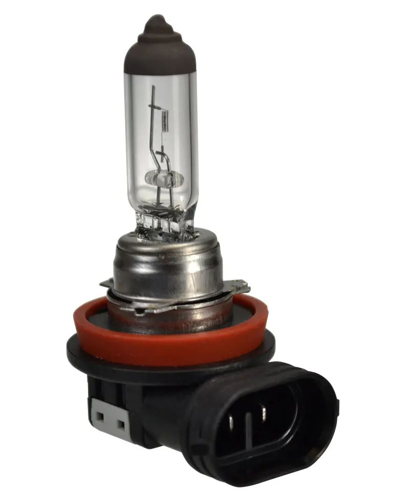 Hella H16 Halogen Replacement Bulb 1